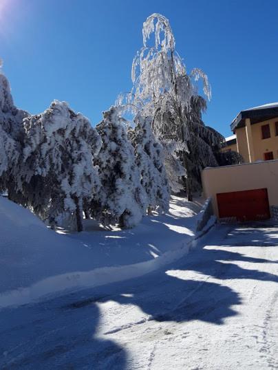 Los Valles Con Vistas Sierra Nevada Dış mekan fotoğraf